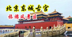 金发白虎流水中国北京-东城古宫旅游风景区