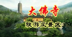 美国女人屄让我肏中国浙江-新昌大佛寺旅游风景区